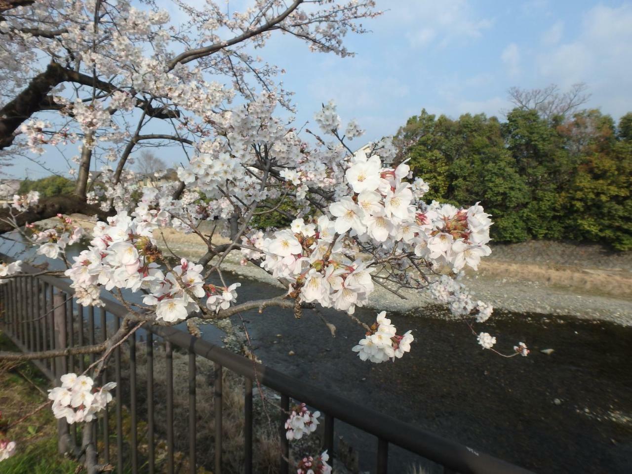 Kyo No Yado Nishioji Hotel Kyoto Exterior foto